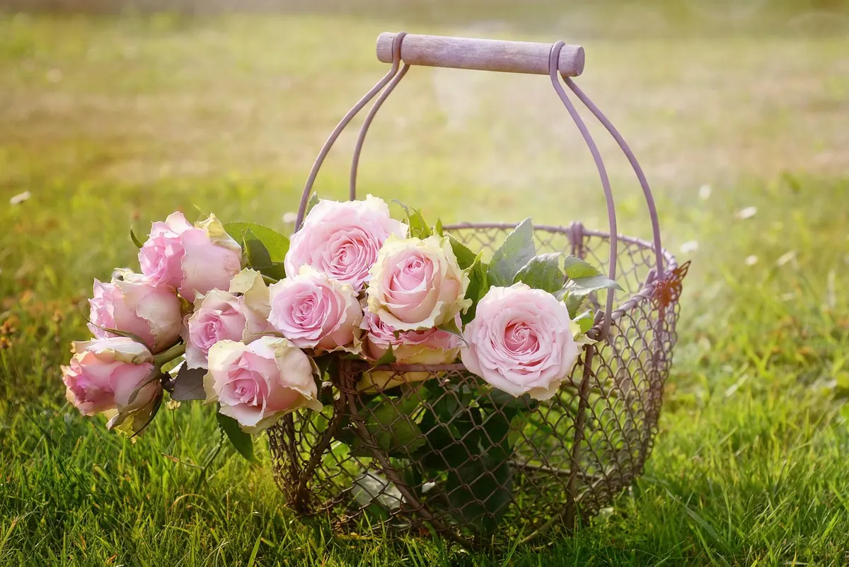 How to Make a Rustic Wire Wall Basket for Dried Flowers